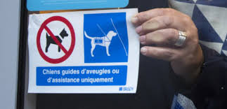 Un pictogramme pour l'accueil des chiens guides, partout, comme le veut la loi