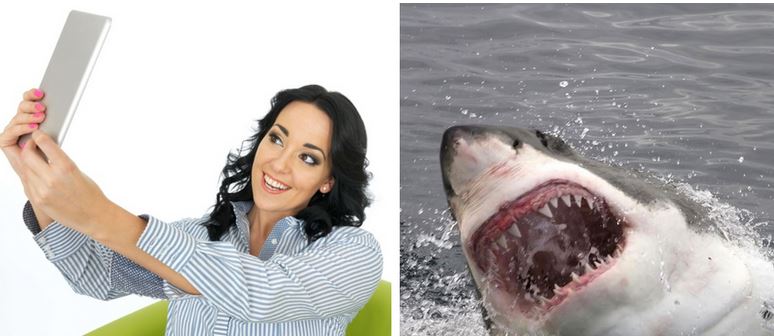 Douze personnes sont mortes depuis le debut de l'année en voulant prendre un selfie