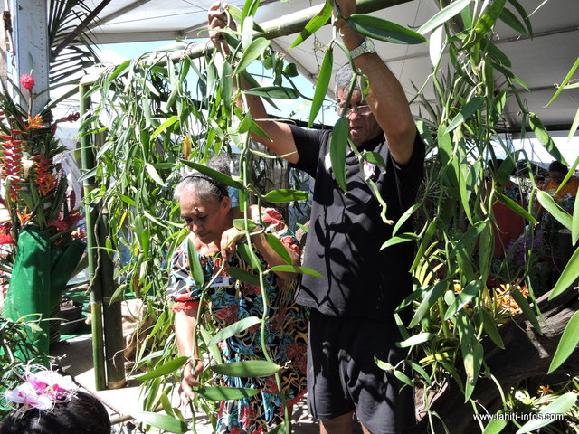 Fleurs, fruits et légumes ou encore animaux, la 30ème édition de la foire agricole accueille près de 500 professionnels