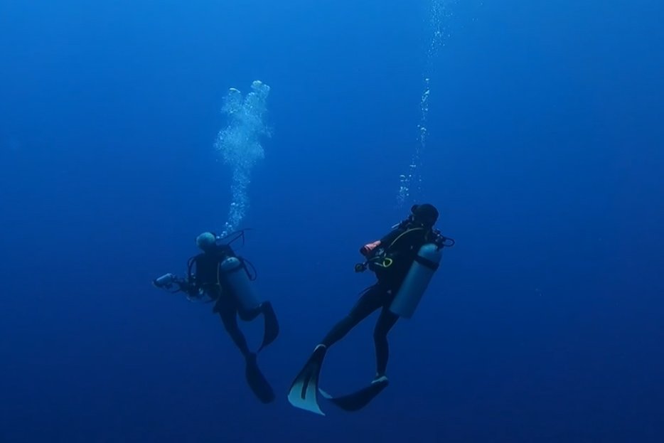 Plongée fatale à Tikehau, 18 mois avec sursis pour le moniteur irresponsable