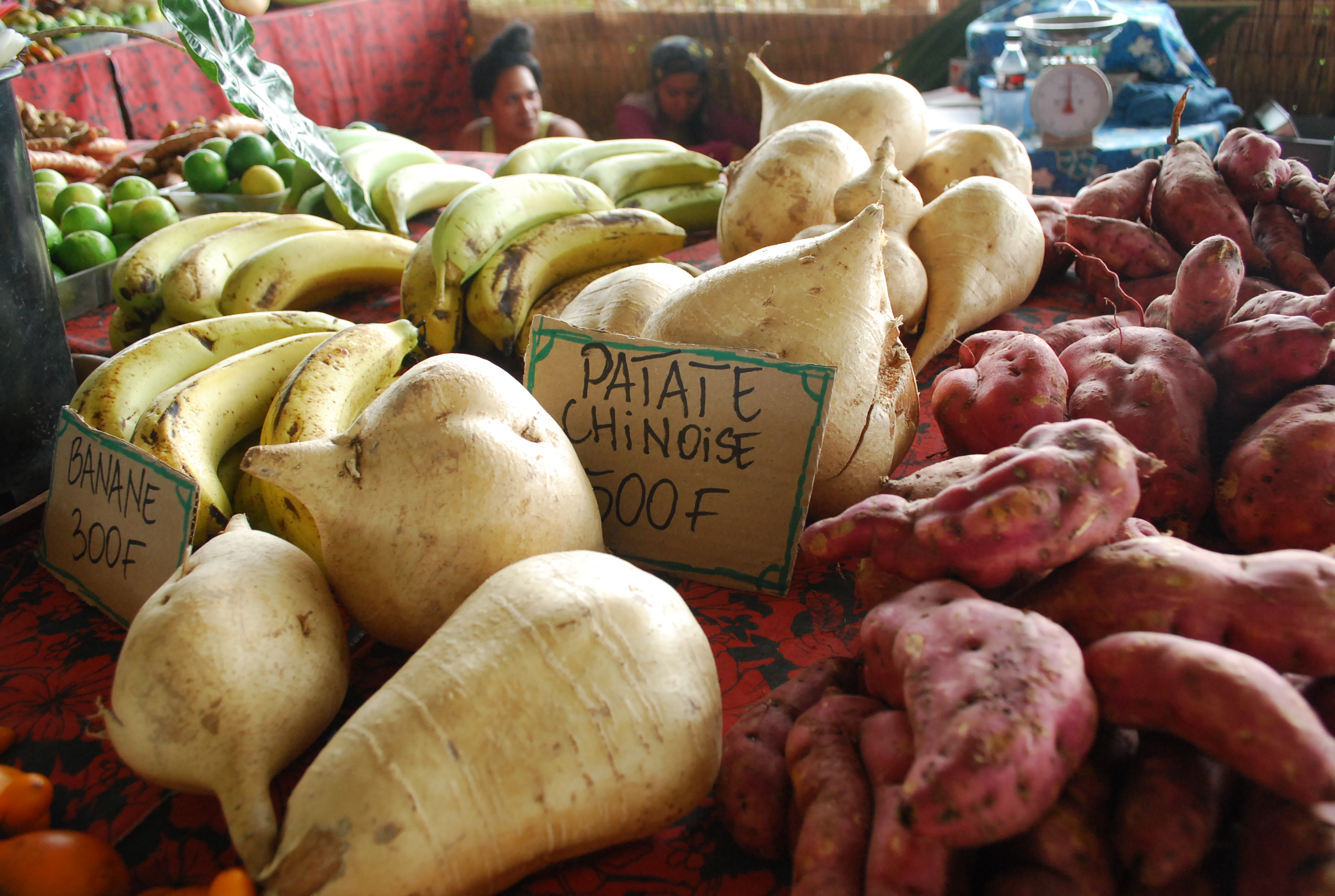 Journal des enfants: "Prépare ta visite à la Foire agricole"