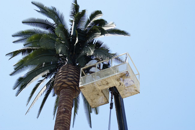Exposition aux ondes électromagnétiques : le texte d'Antonio Perez recalé  au CESC