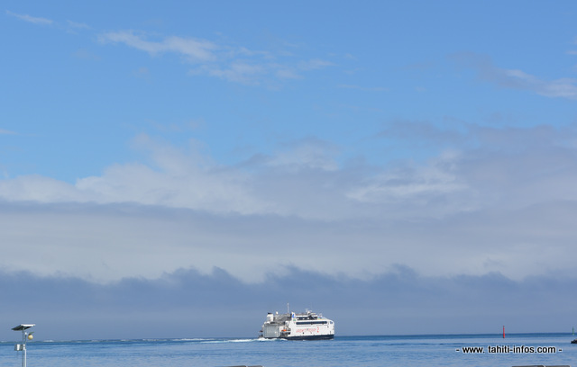 Une baleine heurte l'arrière d'un ferry qui quittait Moorea