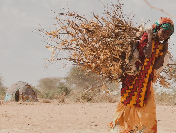 Appel de personnalités pour "soutenir les femmes face au dérèglement climatique"