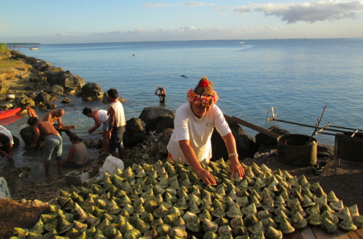 Ouverture partielle de la pêche aux trocas en novembre
