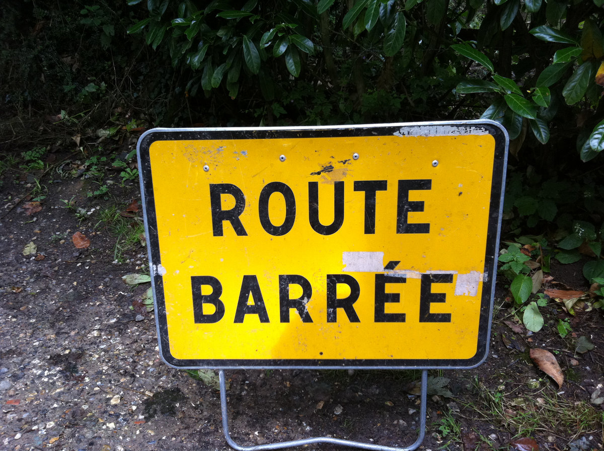 Chute d'un arbre sur la RT1 à Taravao, circulation bloquée la nuit dernière