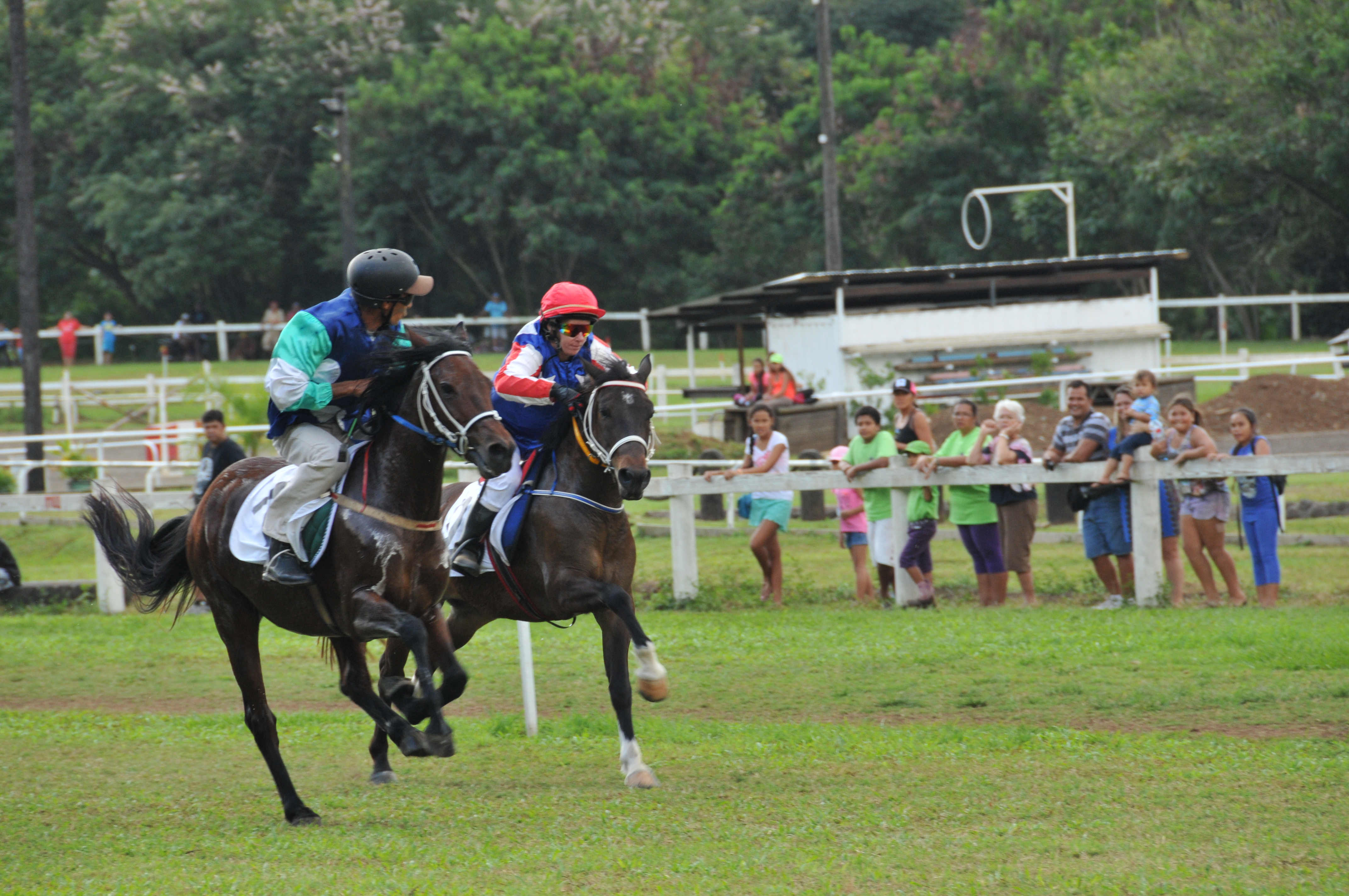 Départ de la première course à 14h30. (Photo : DR)