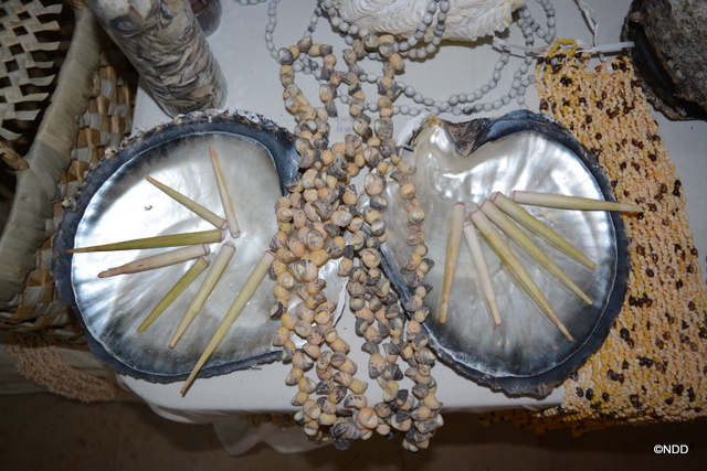 Les Australes tiennent leur salon