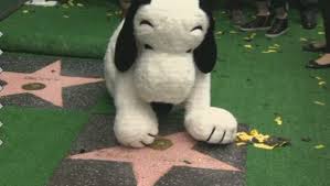 Snoopy, star planétaire de la bande-dessinée, a son étoile à Hollywood