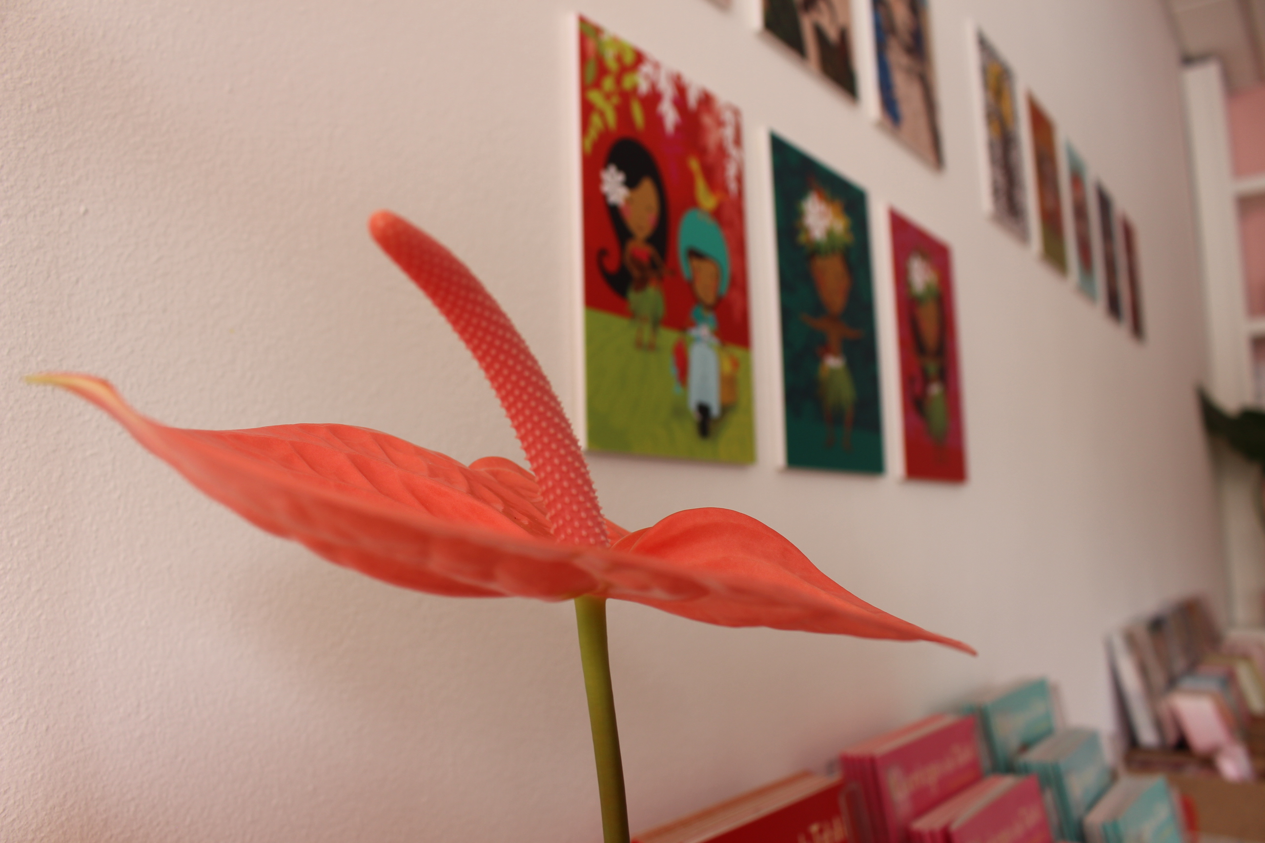 Mme Carotte (r)ouvre son atelier au public