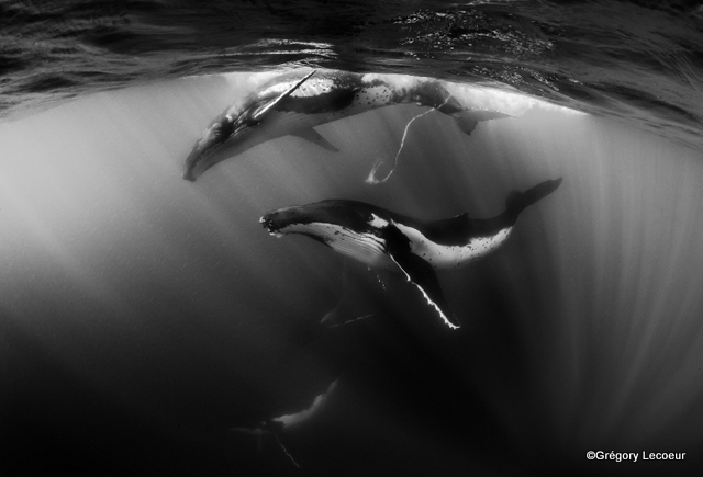 "Il est primordial de respecter des règles basiques afin de ne pas trahir leur confiance."