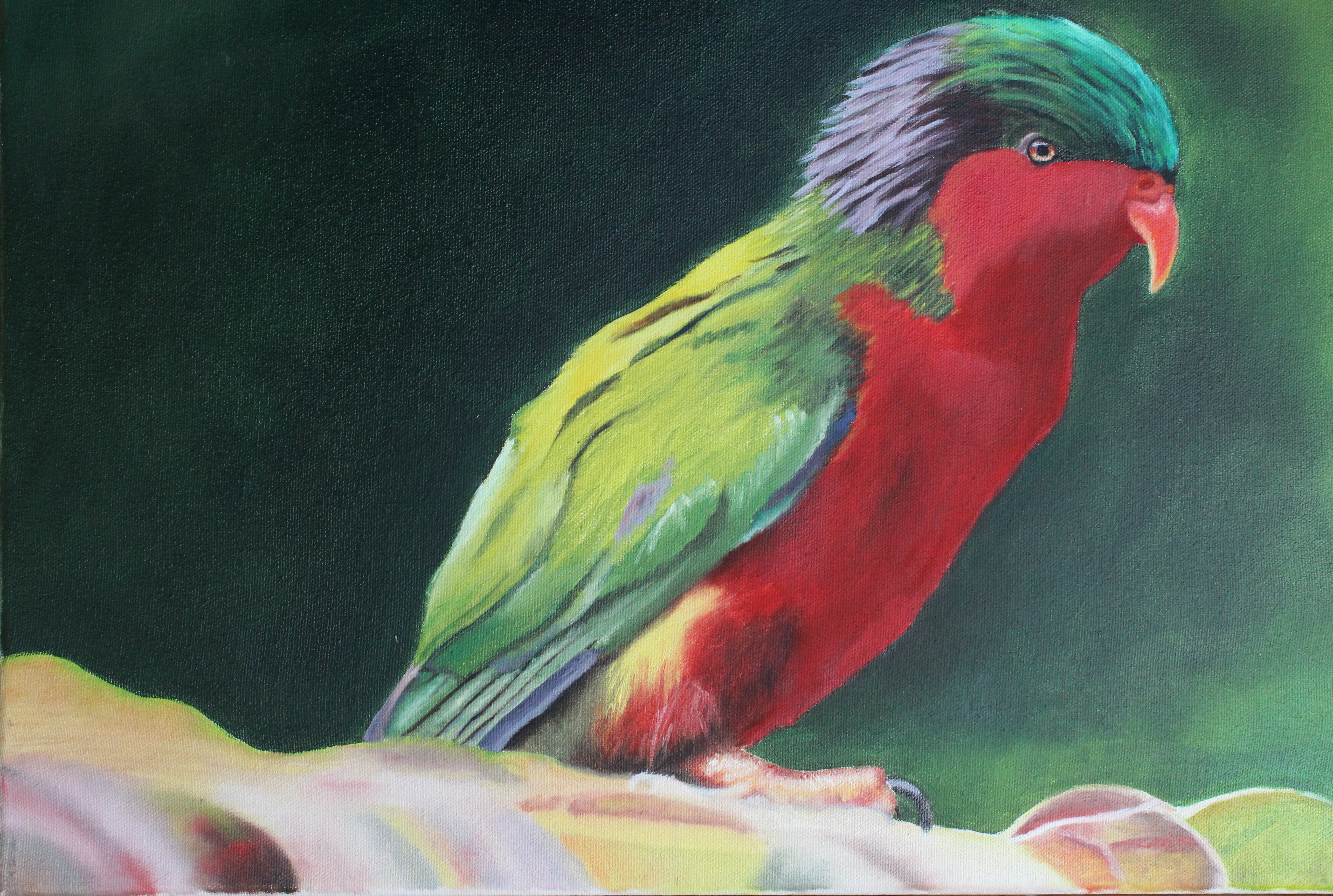 "Te ruperupe o te natura - Les merveilles de la nature"