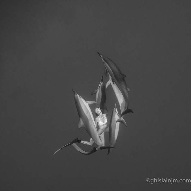 Leina Sato nage avec des dauphins sténelles à Hawaii à 3 mois de grosses. Crédit : Jean-Marie Ghislain