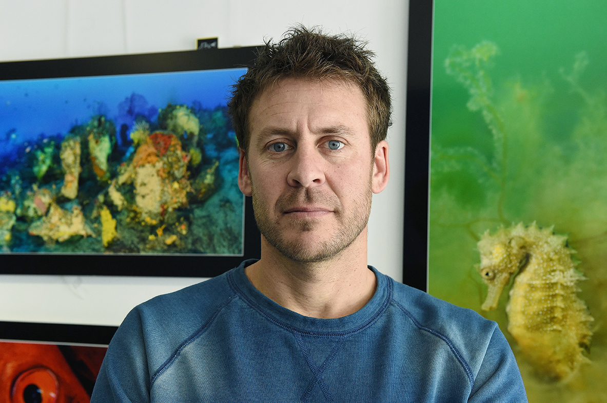 Dans "Le mystère mérou", le biologiste/plongeur/photographe Laurent Ballesta part à la découverte des abysses polynésiens pour tenter de percer le mystère de la reproduction des mérous.