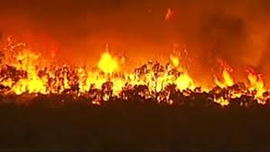 Deux morts dans des feux de forêt dans le sud de l'Australie