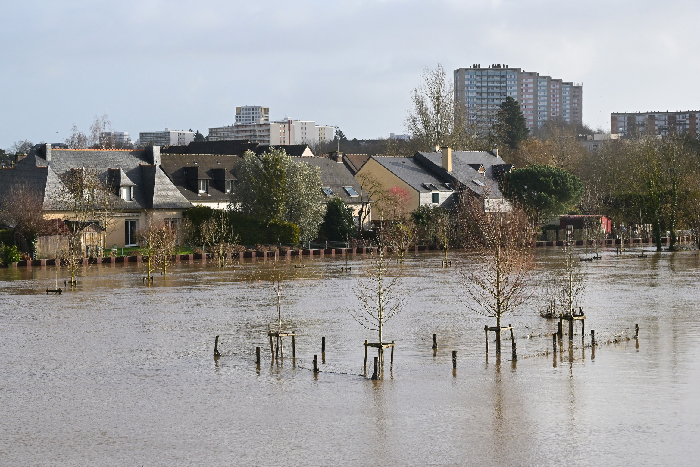 Crédit Damien MEYER / AFP