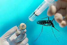 Le vaccin contre la dengue de Sanofi Pasteur, le premier au monde, autorisé au Mexique