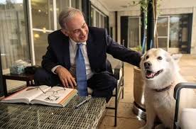 Israël: la chienne de Netanyahu a une dent contre les membres du Likoud