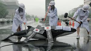 Reprise de la chasse à la baleine par le Japon: l'Australie "déçue"
