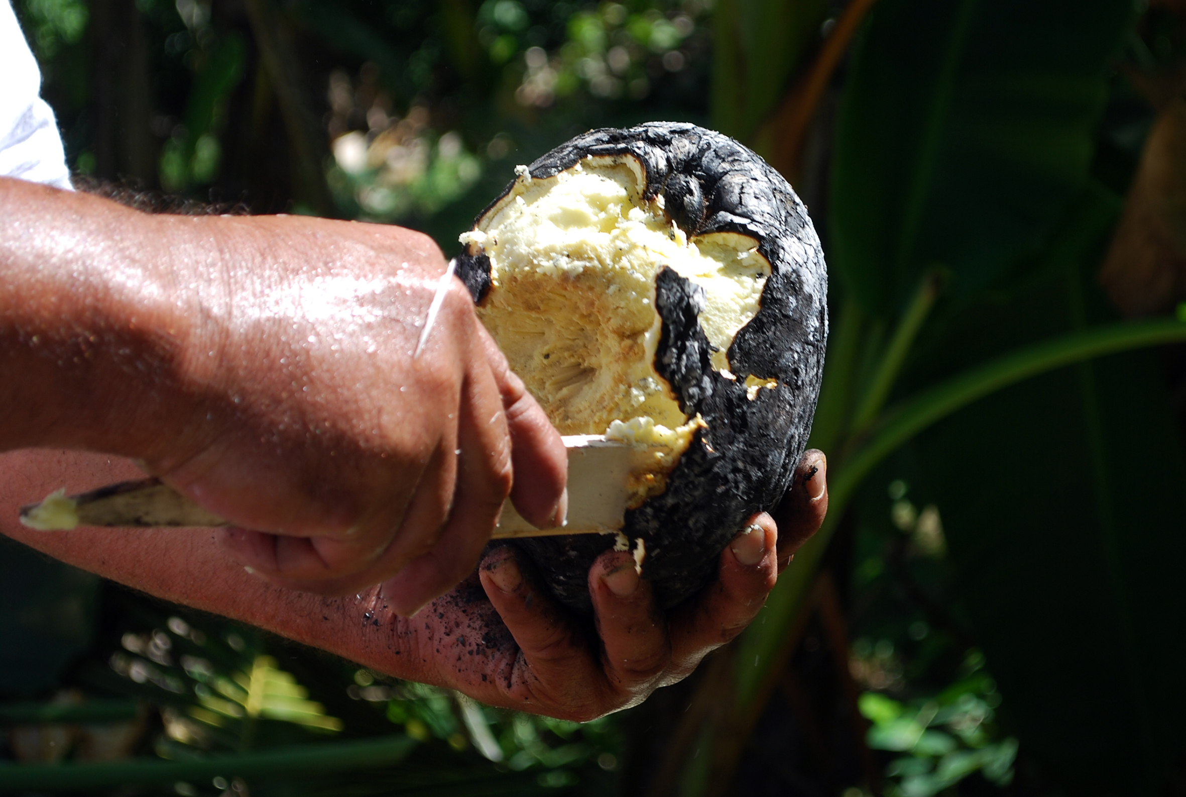 ‘uru cuit au feu de bois.