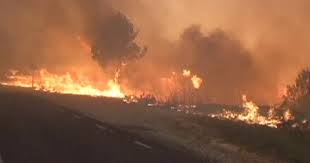 L'Indonésie sanctionne des sociétés impliquées dans les immenses feux de forêt