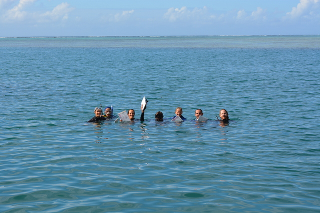 El Niño : Reef Check appelle les ultramarins au suivi des coraux