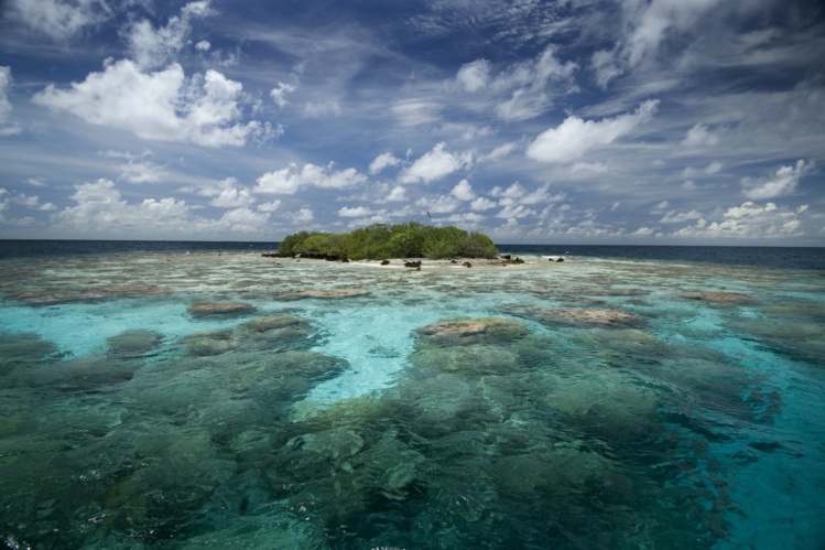 Toute l'équipe de Tahiti Infos vous souhaite ses meilleurs vœux pour la nouvelle année.