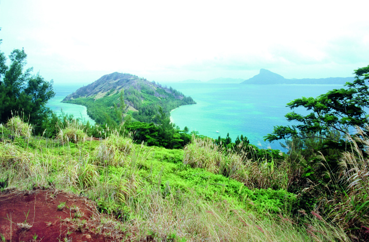 Toute l'équipe de Tahiti Infos vous souhaite ses meilleurs vœux pour la nouvelle année.