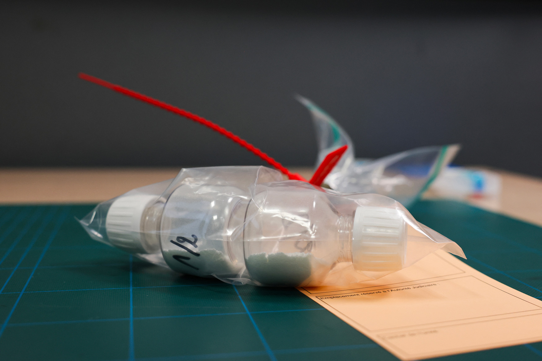 Thibaud MORITZ / AFP