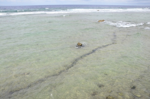 Des travaux réalisés sur le risque tsunami en cas d'un effondrement massif à Moruroa (photo) ont indiqué la propagation d’un train d’ondes de type tsunami qui se déplacerait à la vitesse d’environ 700 km/h et son déferlement sur les platiers de Tureia et Vanavana.