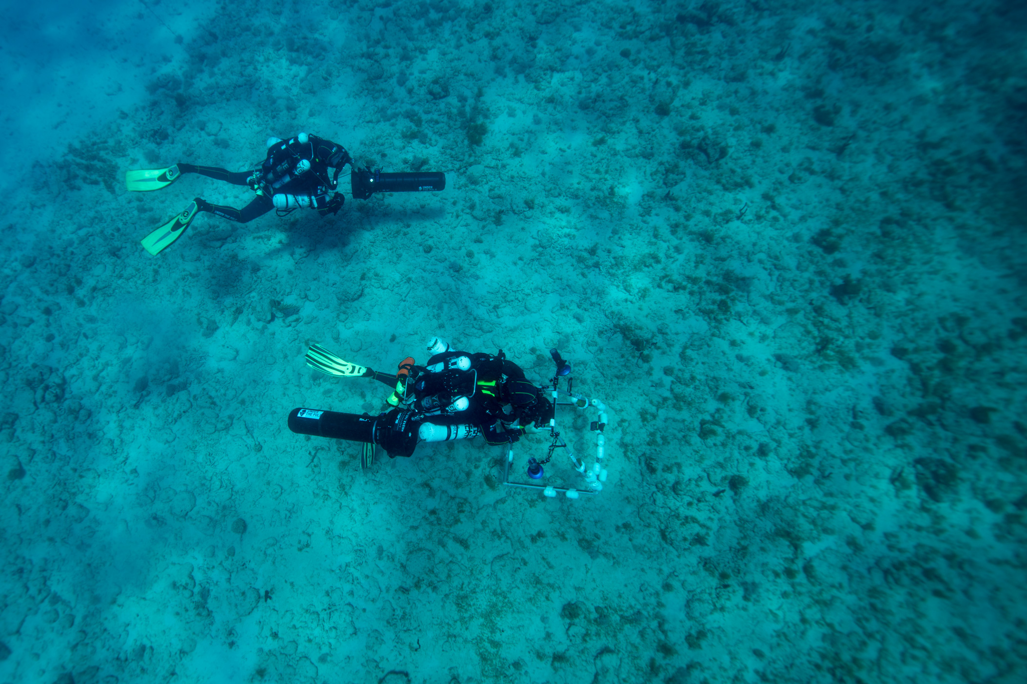 Phto d'illustration. Crédit Olivier MORIN / AFP