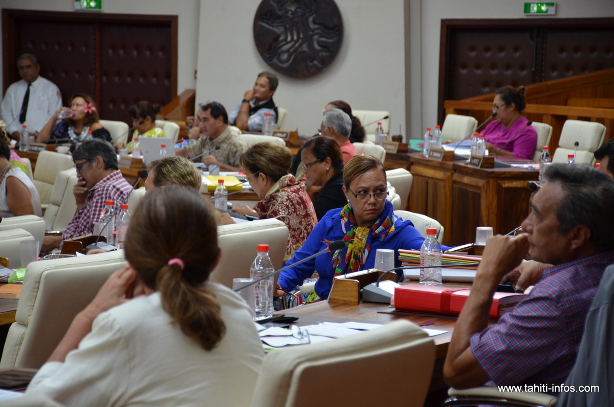Le groupe des pro-Fritch est officiellement créé à l'Assemblée