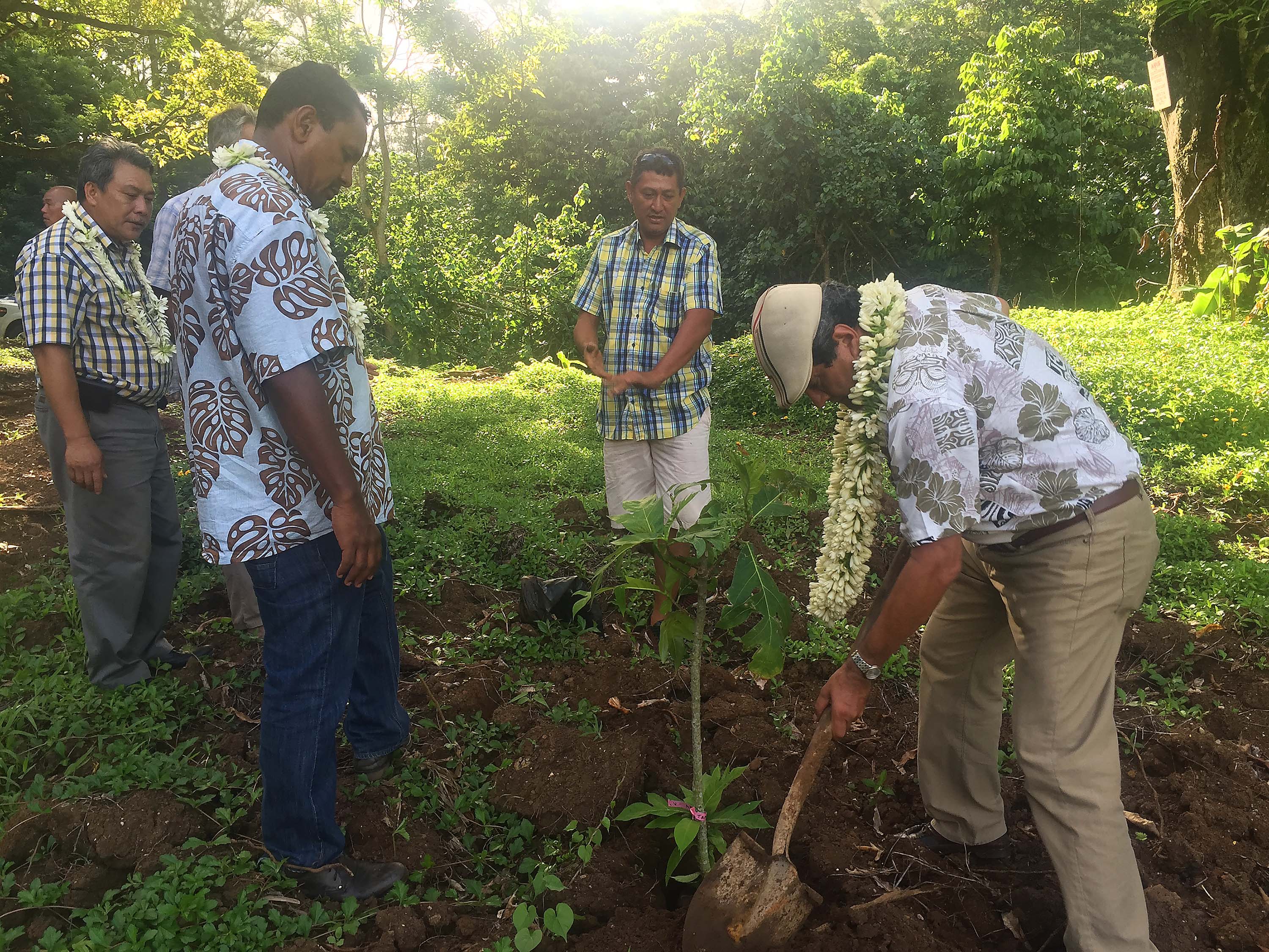 Tournée gouvernementale à Moorea