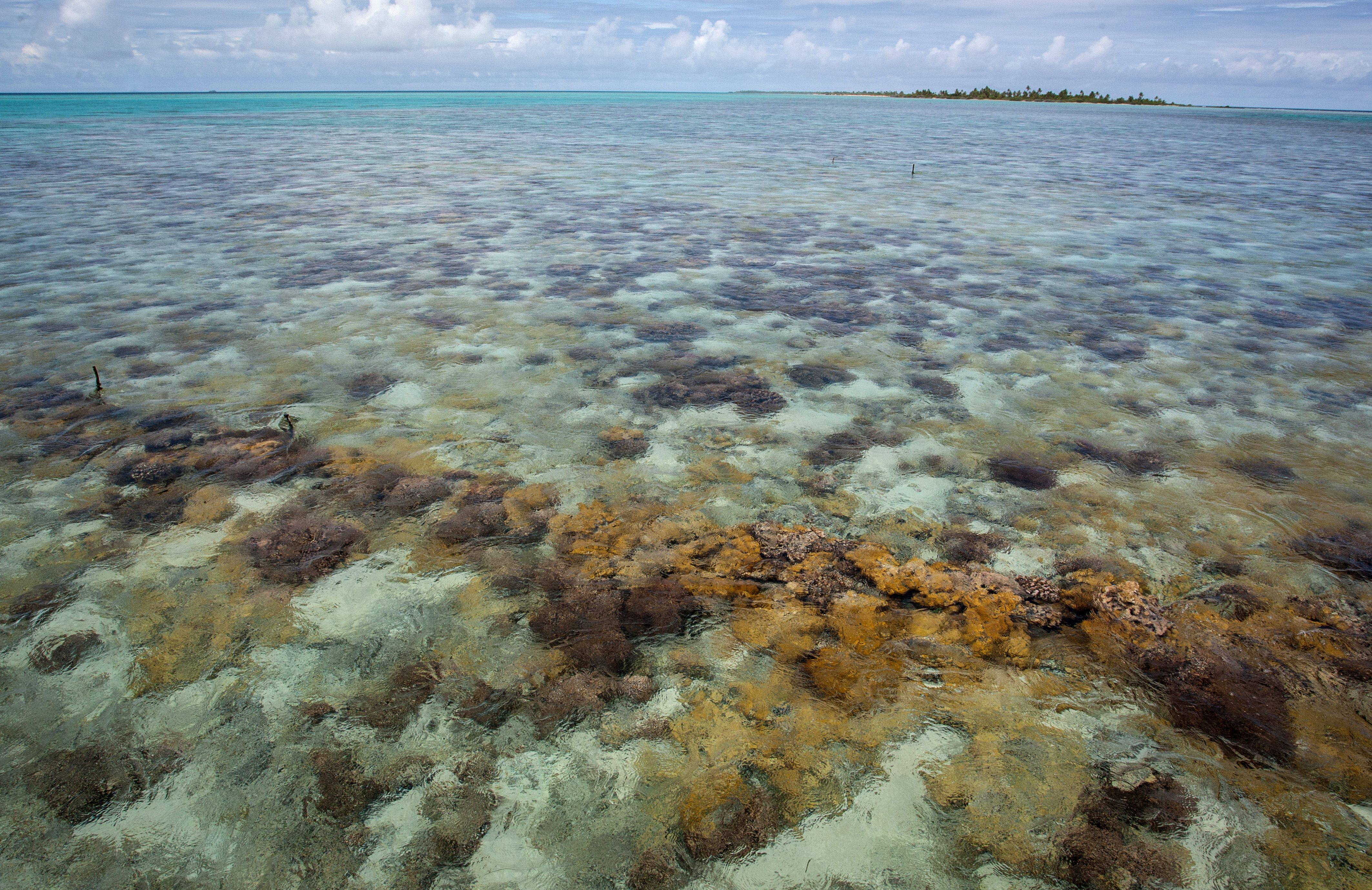 La Polynésie française compte à elle seule 20 % des atolls de la planète. Photo : AFP