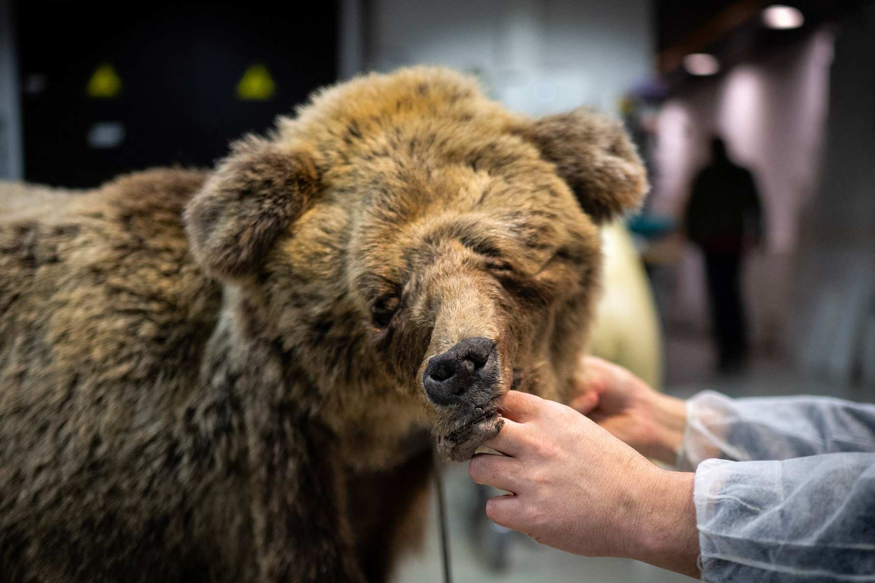 Crédit Lionel BONAVENTURE / AFP