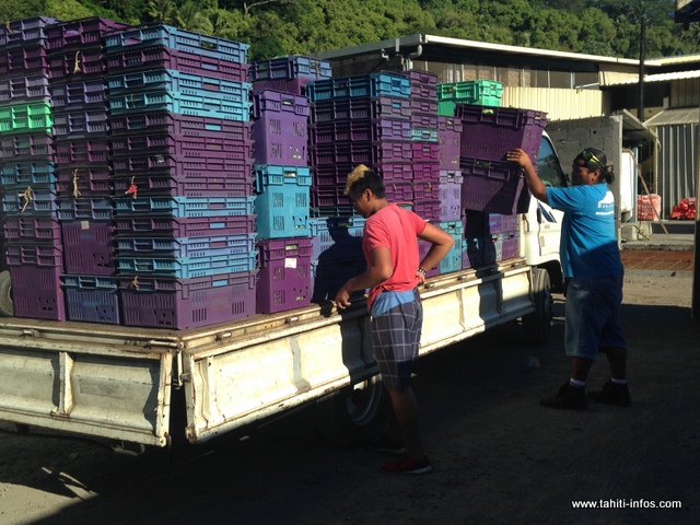 Deux fois par semaine, Vaiora livre plusieurs kilos de légumes à SIPAC