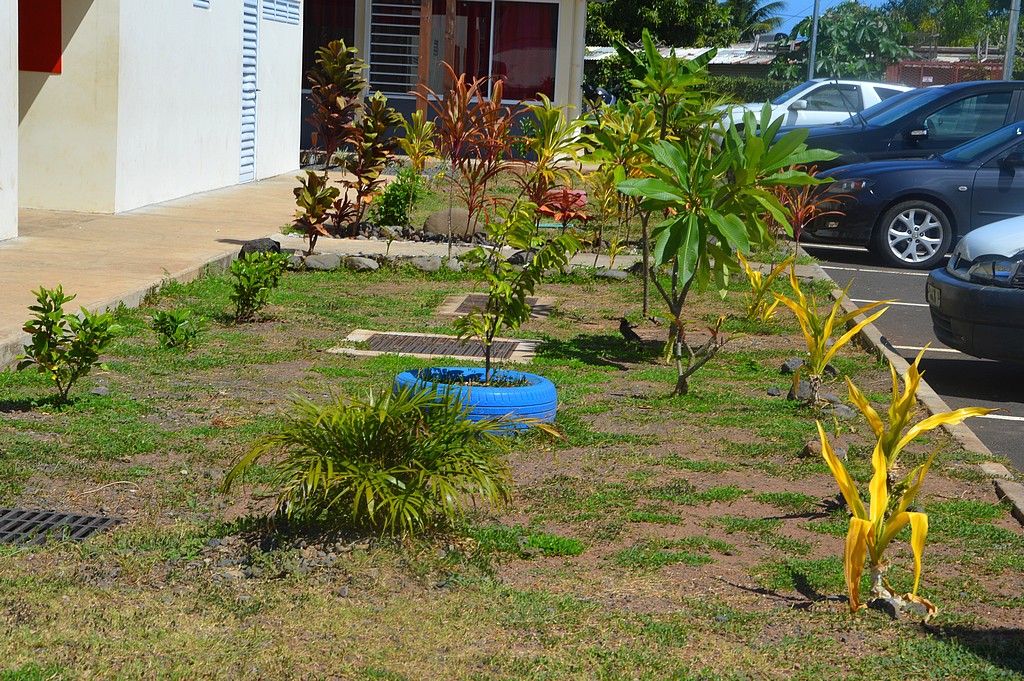 Faaa : Le CJA de Outuaramea se lance dans les espaces verts