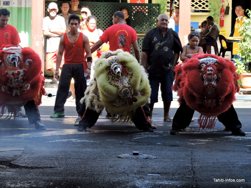 Lâcher de lions sur Papeete le 8 février prochain !