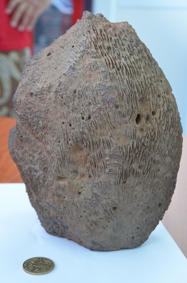 L'étrange pierre retrouvée sur un plateau de Taravao en décembre 2000, pèse près de 8 kilos. Mais s'agit-il comme le prétend son propriétaire, d'une météorite ?