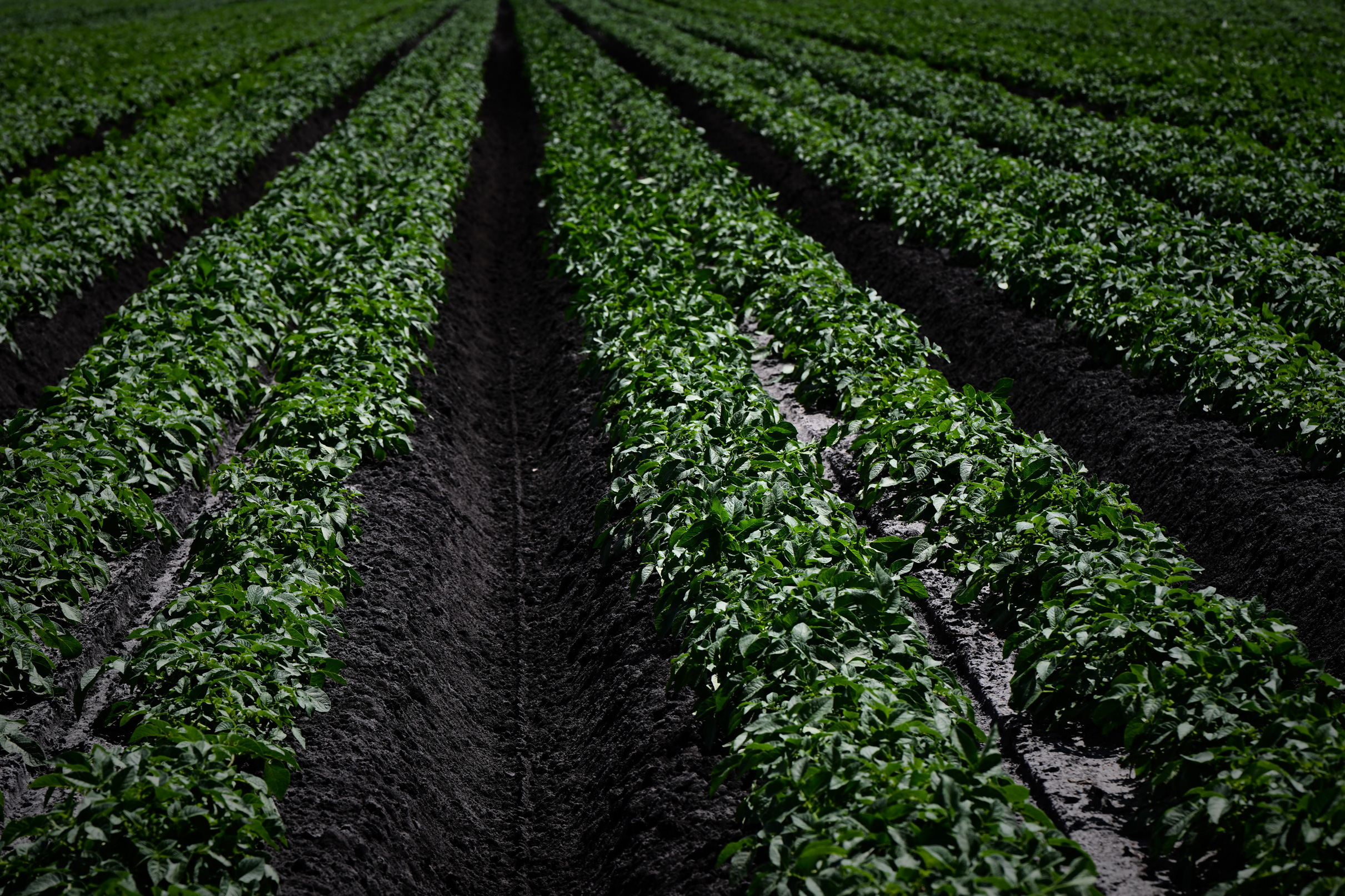 Philippe LOPEZ / AFP