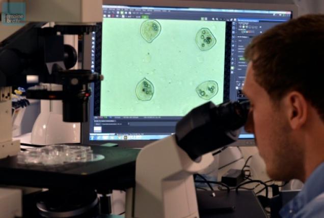 Produire des tissus humains par imprimante 3D: le défi de Poietis