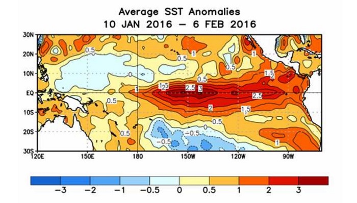 Anomalies de température de surface de la mer dans l’océan Pacifique.