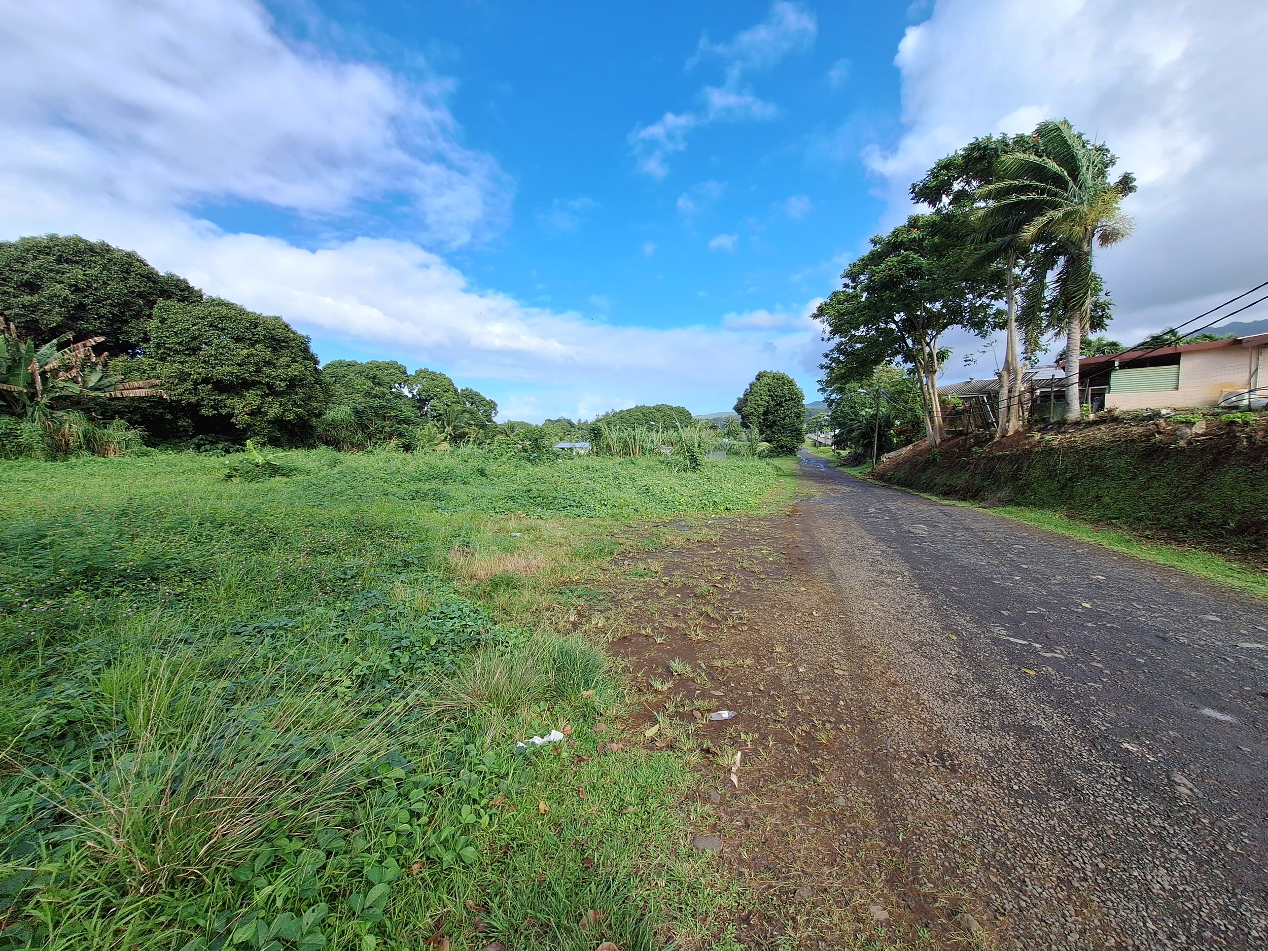 L’entrée du chemin d’accès à la baie de Phaëton (Crédit : Anne-Charlotte Lehartel).