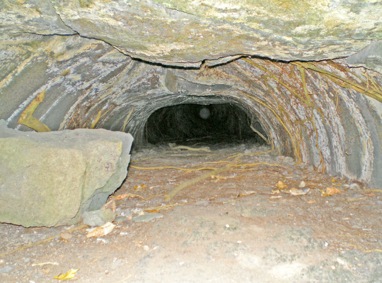 L’entrée de la grotte de Monoihere à Orofara a été coupée lors de l’agrandissement de la route de ceinture par l’Equipement sans aucun respect de l’histoire du fenua. Actuellement, derrière les branches d’un Tamanu, à cinq mètres de hauteur, on ne peut voir qu’un tunnel, un lavatube. Françis Sanford, qui a visité la grotte de Monoihere dans les années 1960, a parcouru 200 mètres sous terre, mais n’a pu aller plus loin car un rocher bloquait le passage. Il signale toutefois que la galerie qui s’apparente à un lavatube continue bien au delà.  Photo Tahiti Heritage