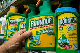 Le glyphosate est l'herbicide le plus utilisé dans le monde.
