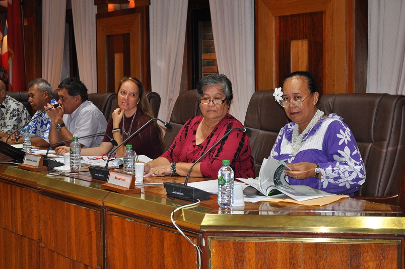 La stratégie de développement touristique de la Polynésie française a été passée à la moulinette par les représentants du CESC.