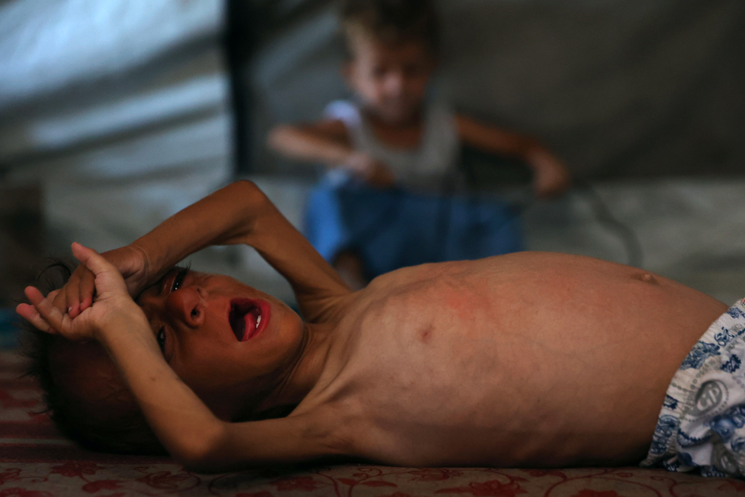 Crédit Omar AL-QATTAA / AFP