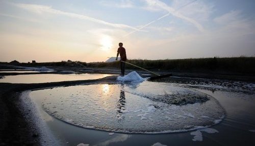 Récolte de sel en juillet 2013 à L'Epine sur l'île de Noirmoutier ( AFP - Jean-Sébastien Evrard )