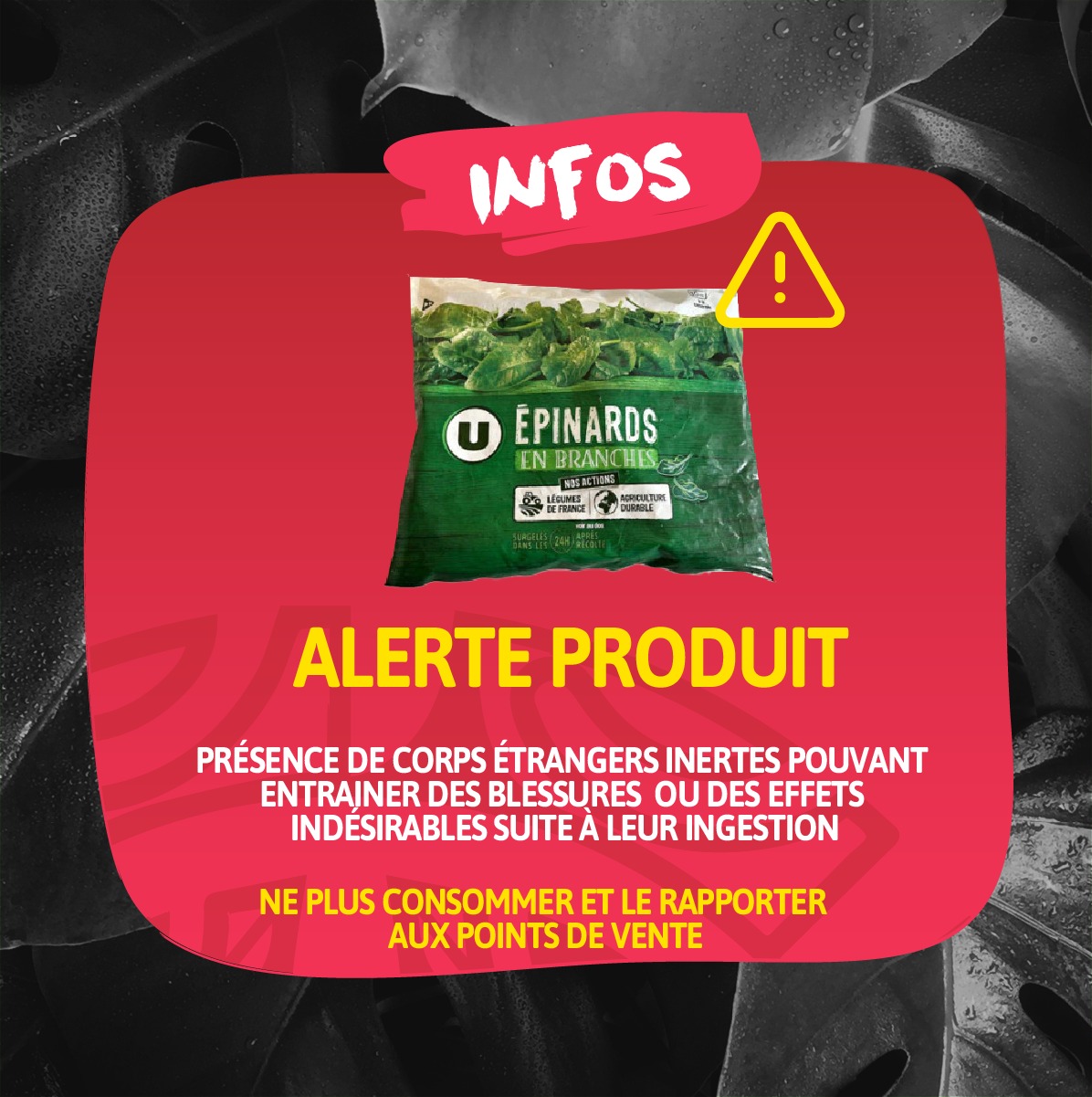 Alerte produit : présence de corps étrangers dans des épinards surgelés