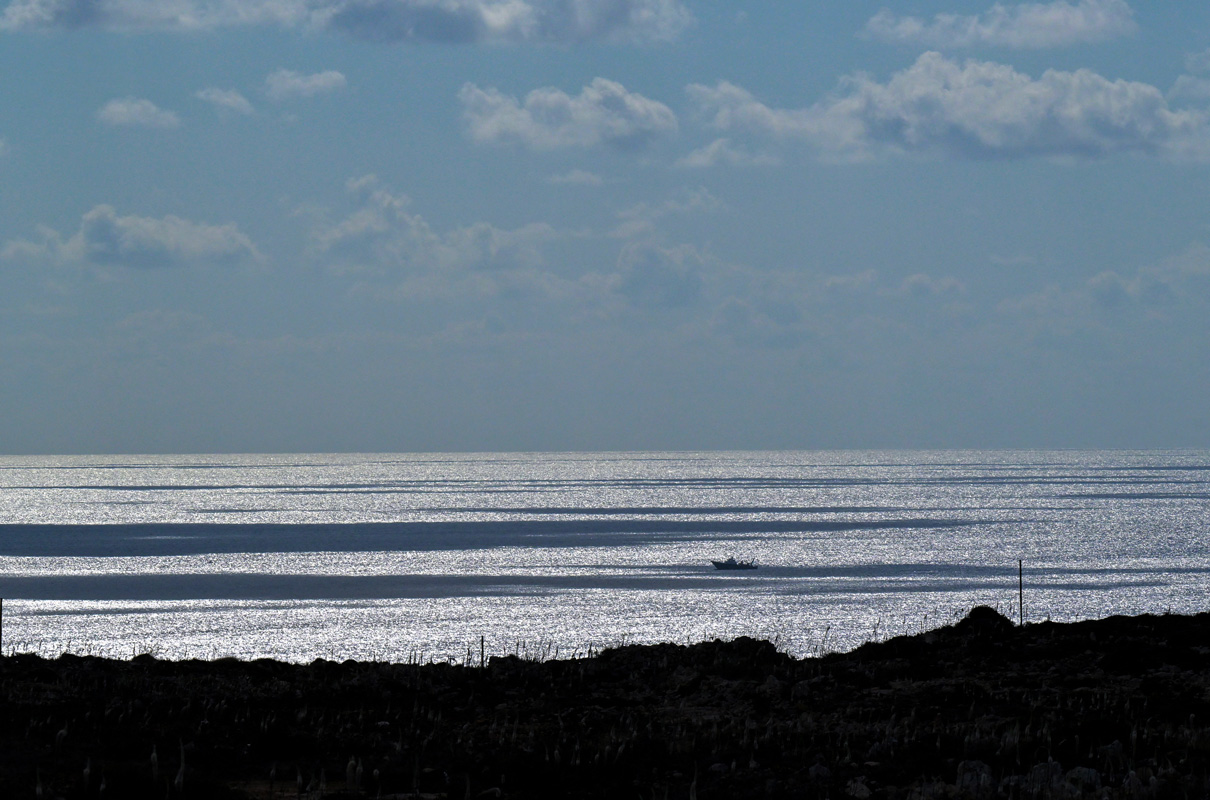 Crédit Tiziana FABI / AFP